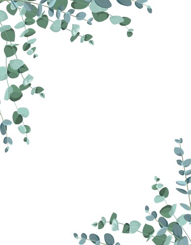 eucalyptus border frame on white background vector image