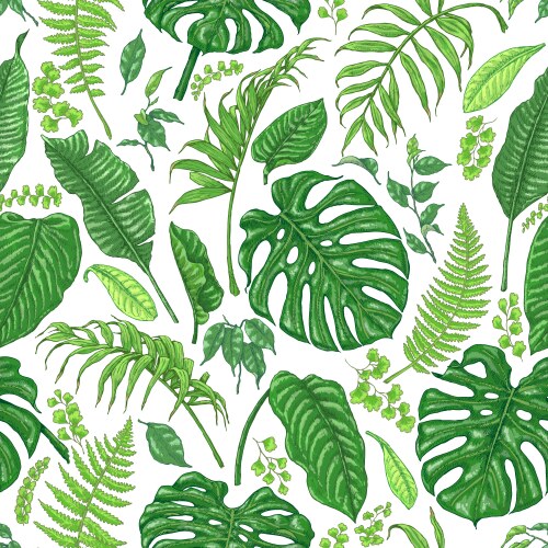 Tropical Monstera Fern Pattern Vector Image