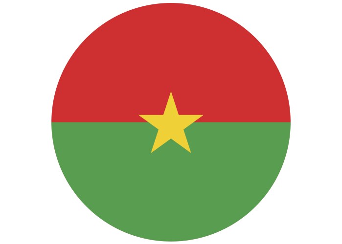 burkina faso air force roundel vector image