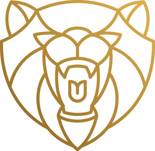 Outline icon roaring bear hand drawn with thin Vector Image