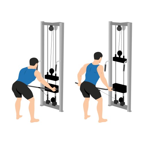 Man doing standing bent over wide reverse grip vector image