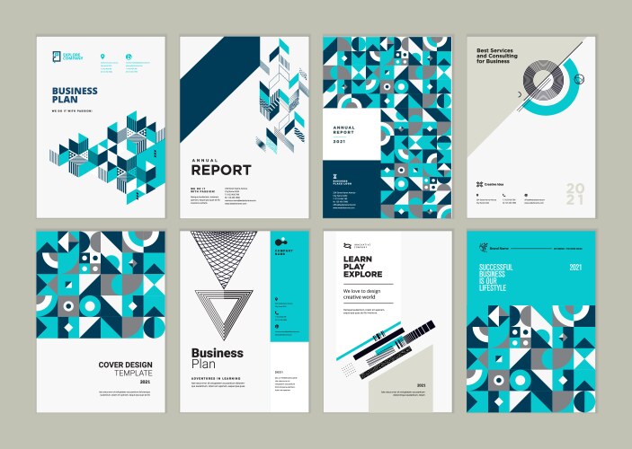 Brochure business plan annual report designs vector image