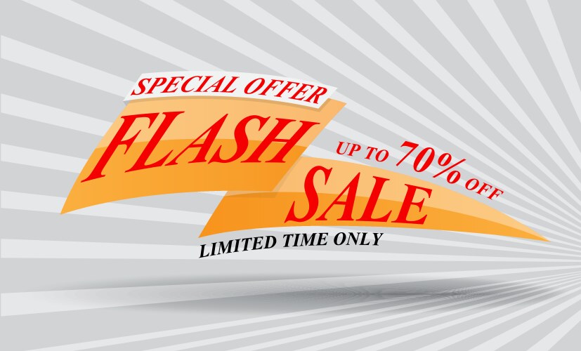 Flash sale banner design vector image