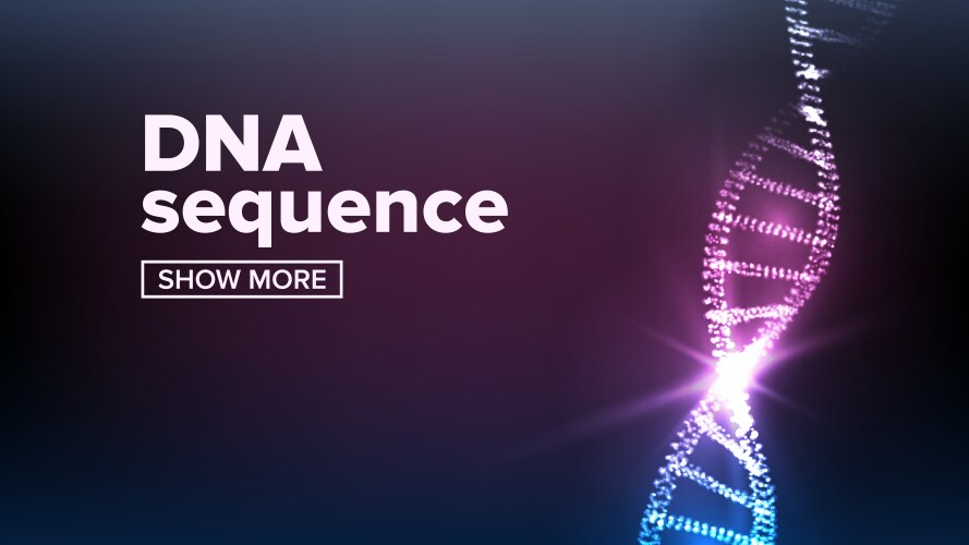 Dna structure human genome genetic vector image