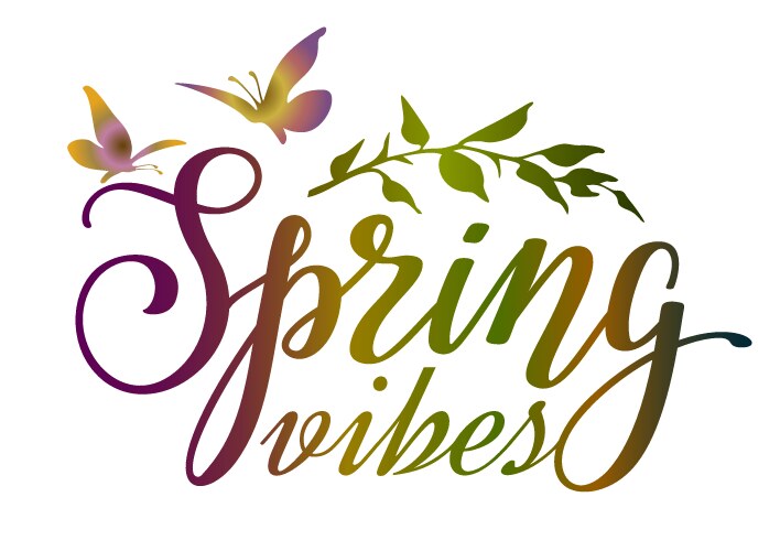 Spring vibes colorful lettering phrase with branch vector image