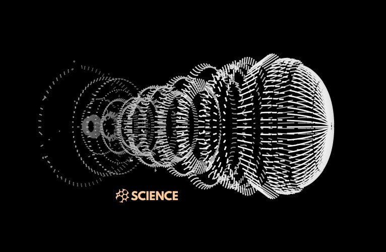 Array with dynamic particles 3d technology style vector image