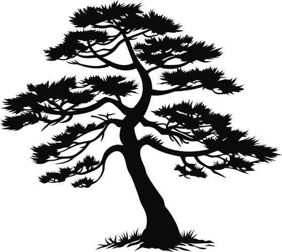 tree pine silhouette tattoo logo cypress vector image