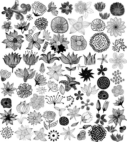 Floral Swirls & Twists Vector Image