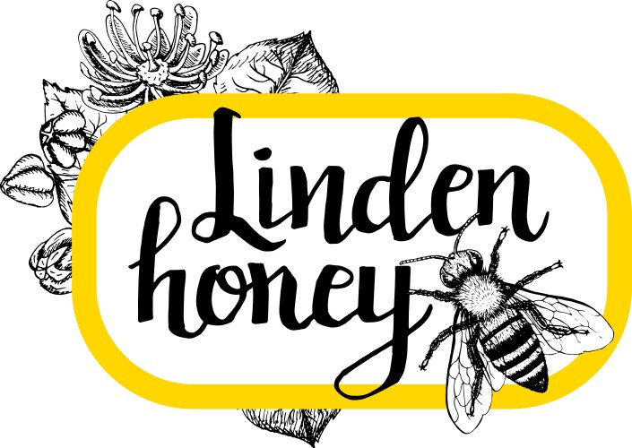 Rectangle frame with honey flowers and bees Vector Image
