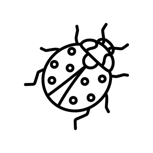 Line Art Ladybug Vector Image