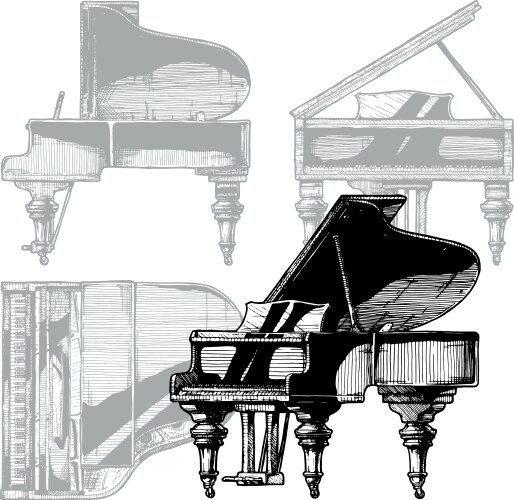 White grand piano Royalty Free Vector Image - VectorStock