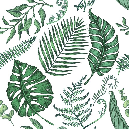 Tropical leaves 001 Royalty Free Vector Image - VectorStock