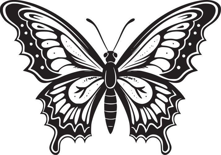 Butterfly - black and white Vector Image