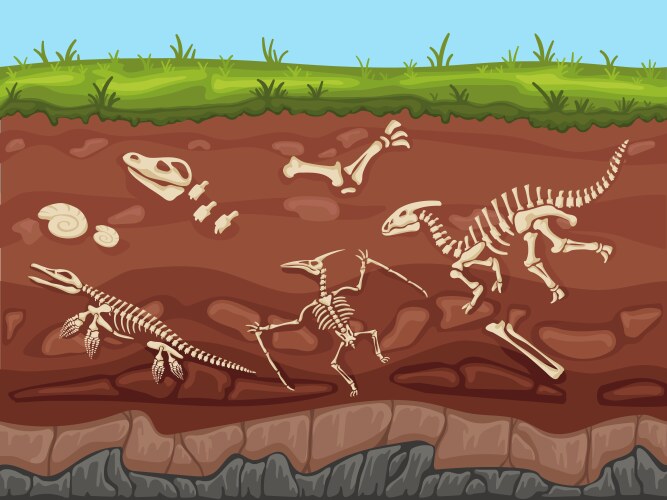 soil layers with fossils ground vector