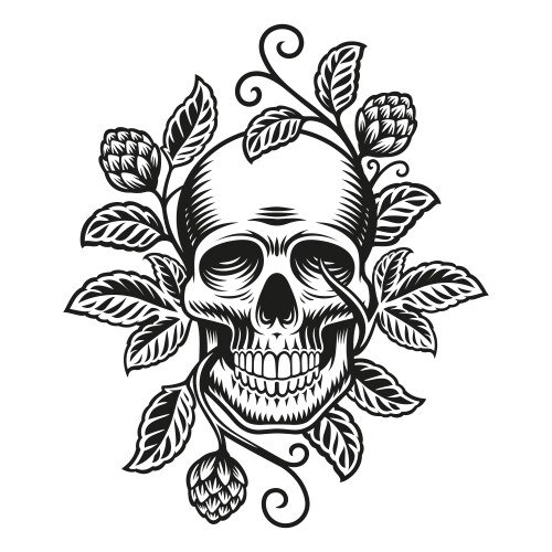 Beer Skull with Hop Branches Vector Image