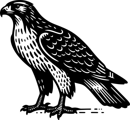 Simple red-tailed hawk side view icon vintage Vector Image