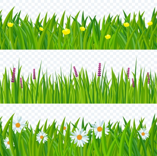 Grass and flowers border set Royalty Free Vector Image