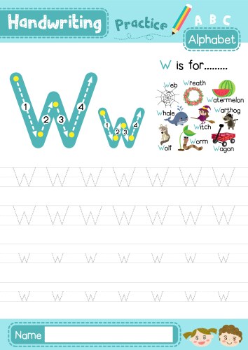 Letter w uppercase and lowercase tracing practice vector image