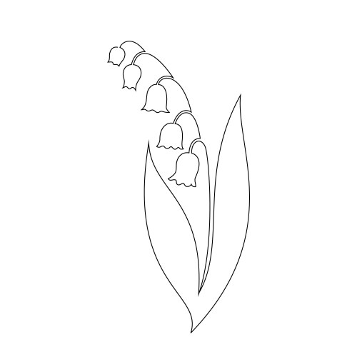 Lily valey Vector Image