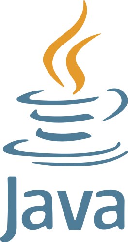Set of most popular script and programming vector image