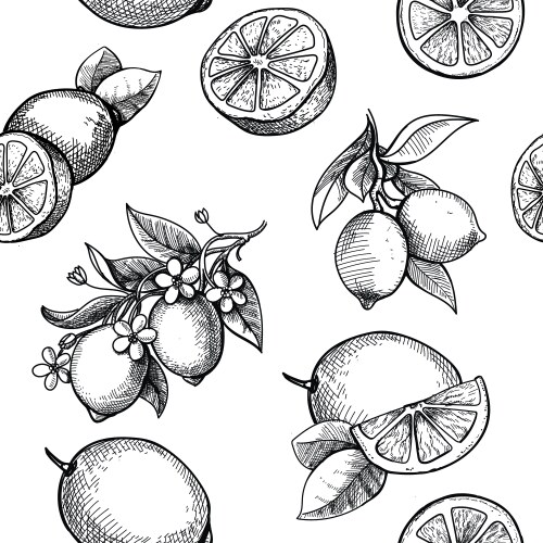 Hand drawn lemon vintage lime orange Royalty Free Vector