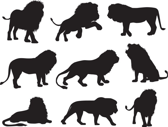 Lion Silhouettes Collection Vector Image