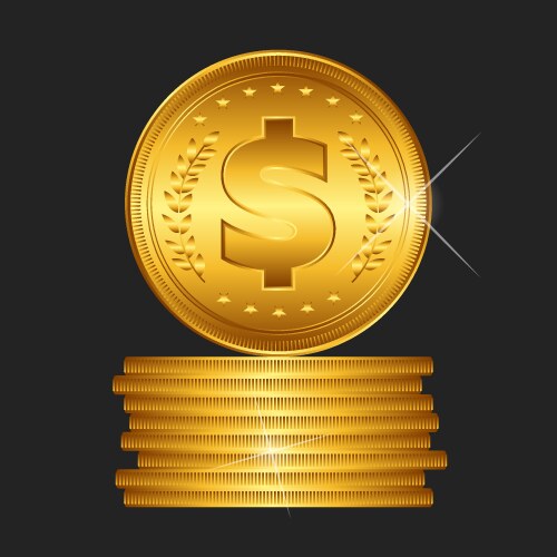 Gold coin vector image