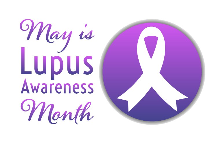 May is lupus awareness month holiday concept vector image