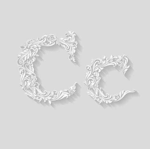 Decorated letter c vector image