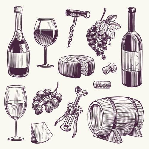 sketch wine bottle and wineglasses grape vector image