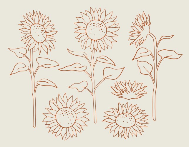 Sunflower Line Art Vector Images Over 9 900