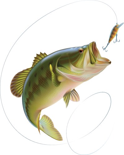 Bass Vector Images (over 90,000)