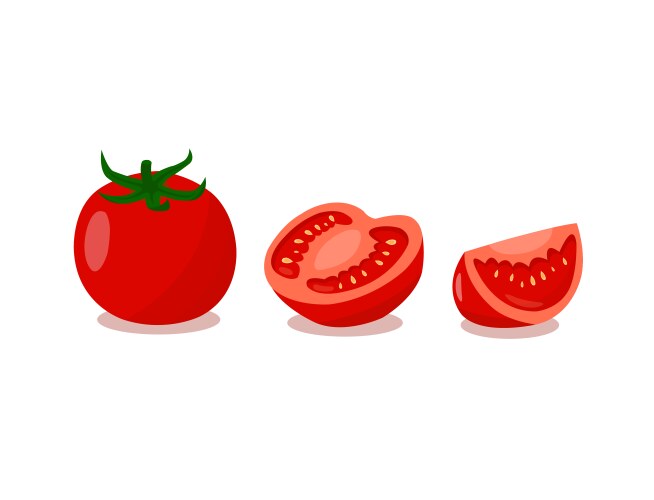 tomatoes with sliced on white background vector image