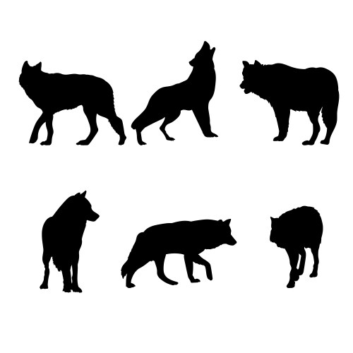 Wolf Set Royalty Free Vector Image Vectorstock