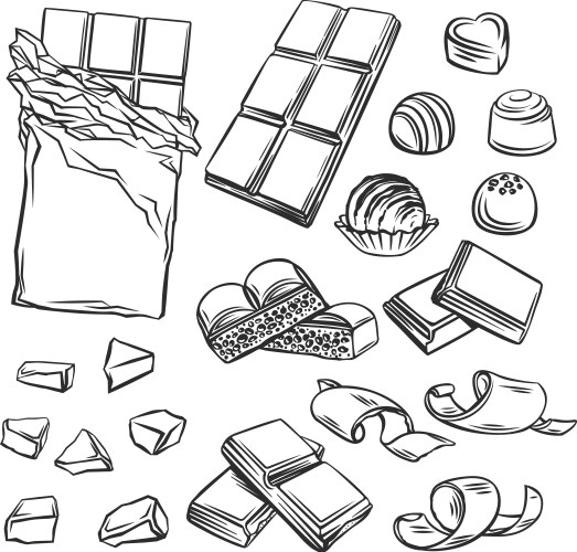 different kinds chocolate vector