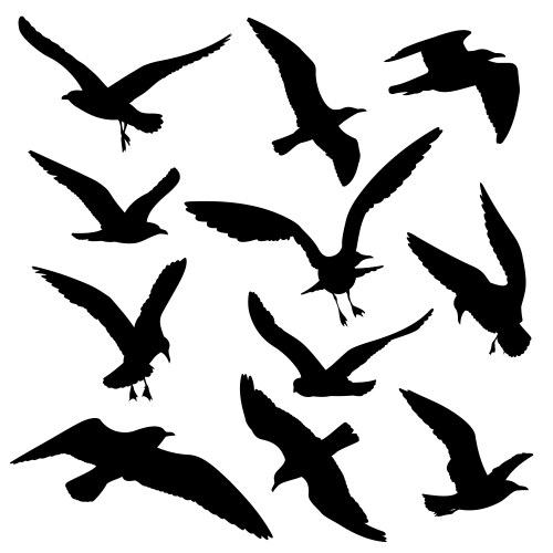 Black Bird Silhouettes - Flying Birds Set Vector Image