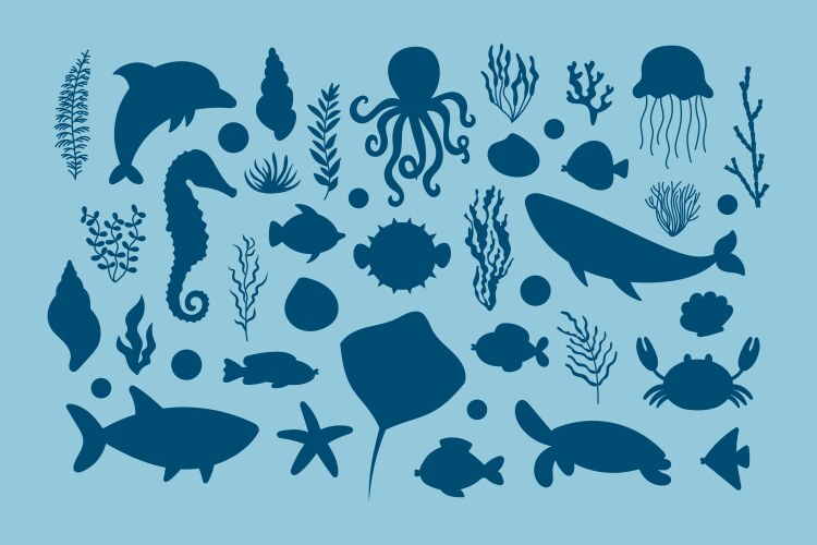 Sea Life Stencils Vector Images (over 320)