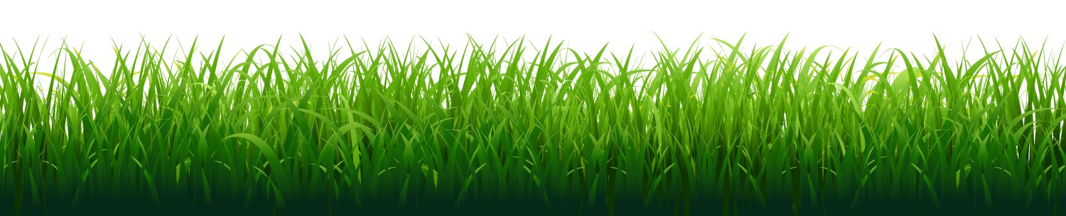 Green grass border Royalty Free Vector Image - VectorStock