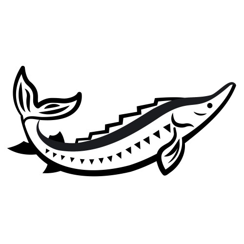 Sturgeon Fish Icon - Black & White Vector Image