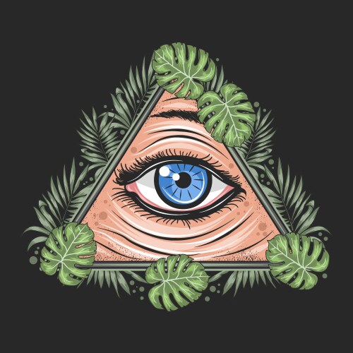 Eye of Tropical Triangle Vector Image