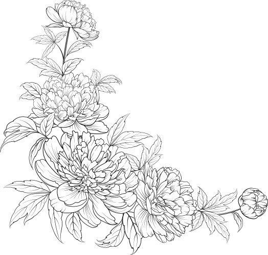 Luxurious color peony background Royalty Free Vector Image
