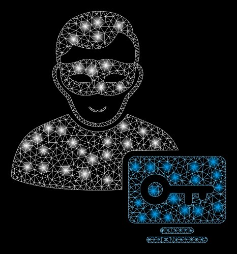 Flare mesh carcass computer hacker with vector image