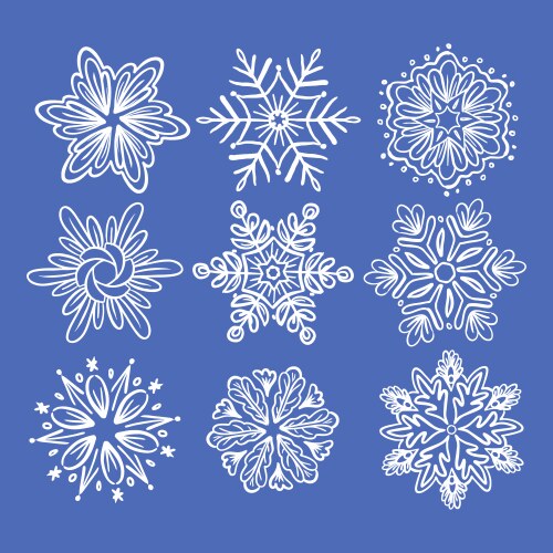 A set of snowflakes different shapes vector image