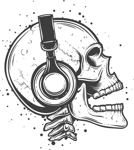 Skull vector image