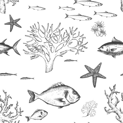 sea life pattern vector image