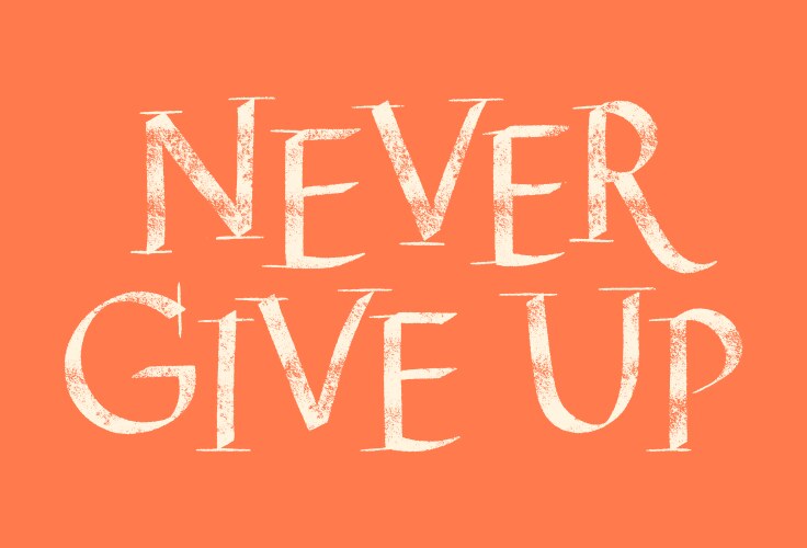 Never give up hand drawn lettering vector image