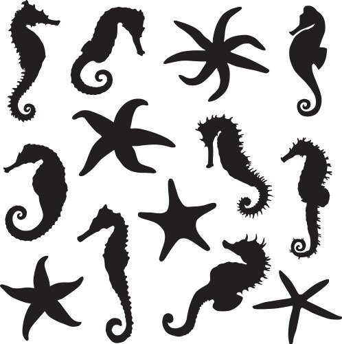Seahorses starfish silhouette Vector Image