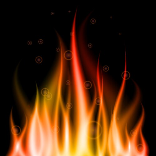 Burning flames background Royalty Free Vector Image