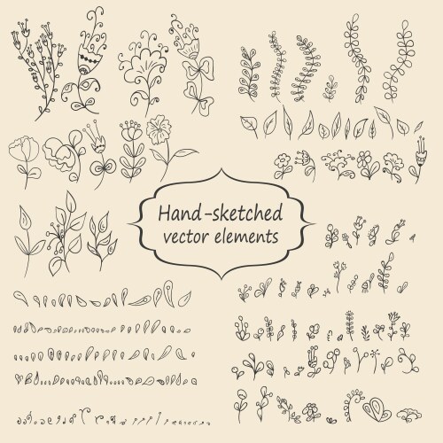 Hand sketched vintage floral elements Vector Image