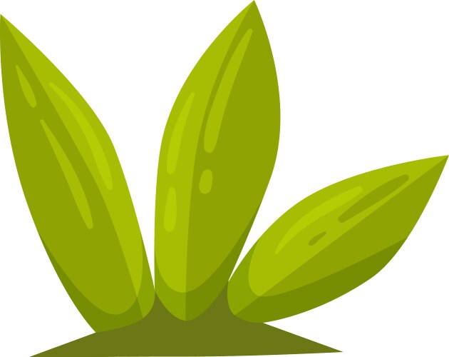 cartoon plant vector image